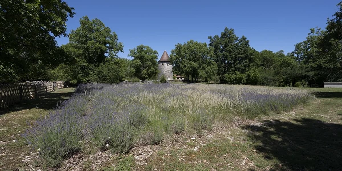 Domaine de Moulin-Phare - photo 1